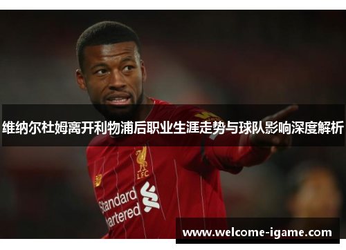 维纳尔杜姆离开利物浦后职业生涯走势与球队影响深度解析