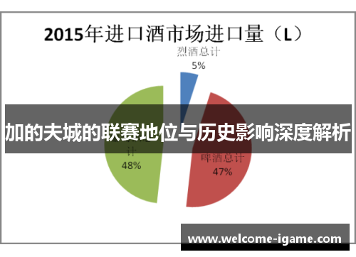 加的夫城的联赛地位与历史影响深度解析