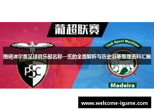 围绕波尔蒂足球俱乐部名称一览的全面解析与历史沿革整理资料汇编