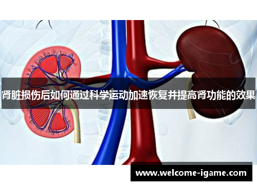 肾脏损伤后如何通过科学运动加速恢复并提高肾功能的效果 肾脏损伤后如何通过科学运动加速恢复并提高肾功能的效果