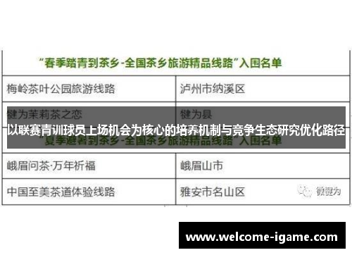 以联赛青训球员上场机会为核心的培养机制与竞争生态研究优化路径